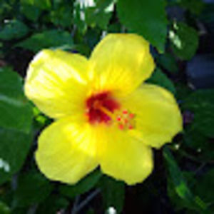 Meet your Posher, Molly